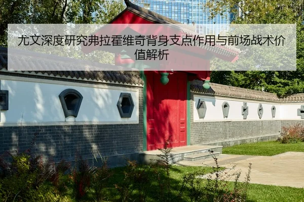 尤文深度研究弗拉霍维奇背身支点作用与前场战术价值解析